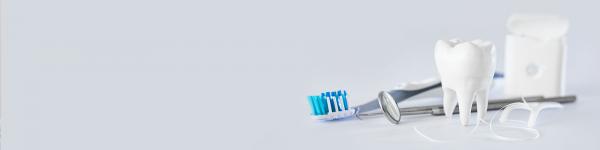 Dr. Veronika von Borries cover image